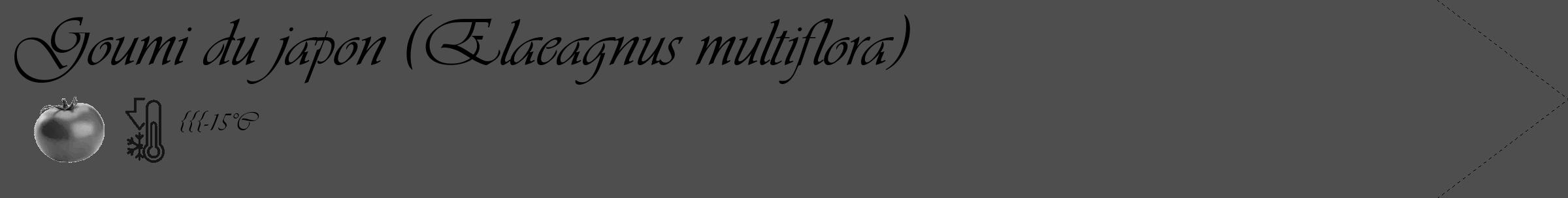 Étiquette de : Elaeagnus multiflora - format c - style noire33_simple_simpleviv avec comestibilité simplifiée