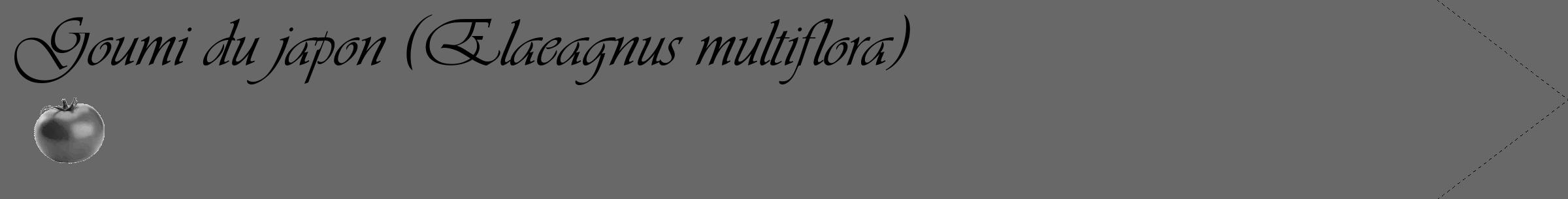 Étiquette de : Elaeagnus multiflora - format c - style noire43_simple_simpleviv avec comestibilité simplifiée