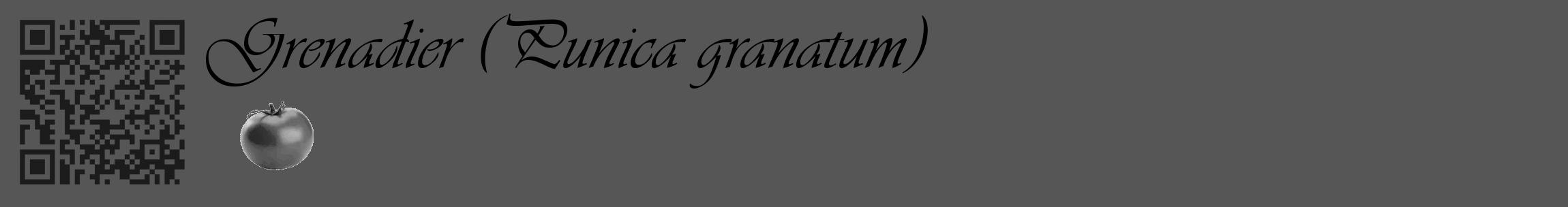 Étiquette de : Punica granatum - format c - style noire45_basique_basiqueviv avec qrcode et comestibilité simplifiée