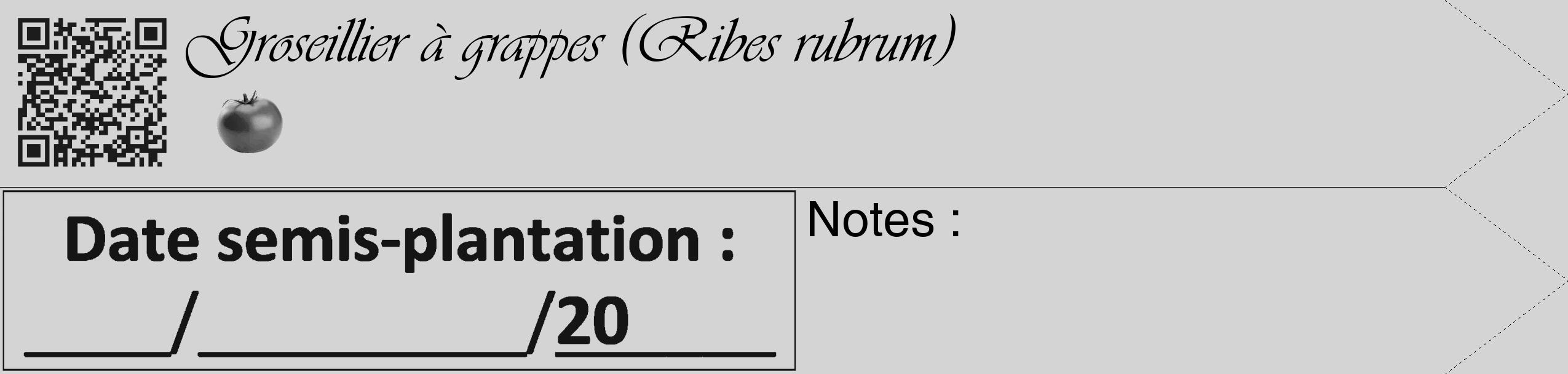 Étiquette de : Ribes rubrum - format c - style noire40simple_basique_basiqueviv avec qrcode et comestibilité simplifiée
