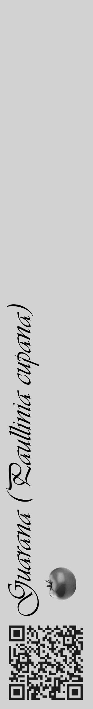 Étiquette de : Paullinia cupana - format c - style noire14_basique_basiqueviv avec qrcode et comestibilité simplifiée - position verticale