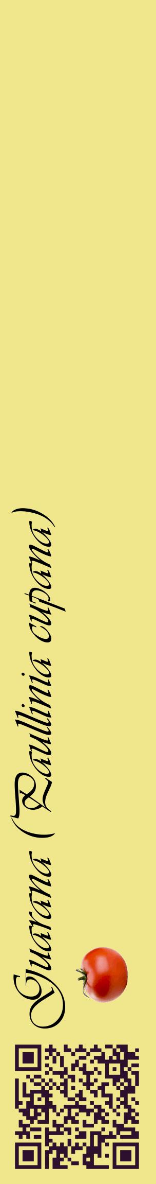 Étiquette de : Paullinia cupana - format c - style noire20_basiqueviv avec qrcode et comestibilité simplifiée
