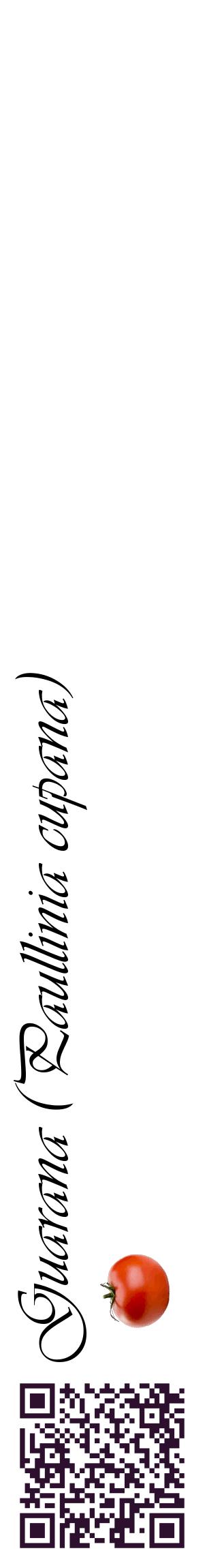 Étiquette de : Paullinia cupana - format c - style noire60_basiqueviv avec qrcode et comestibilité simplifiée