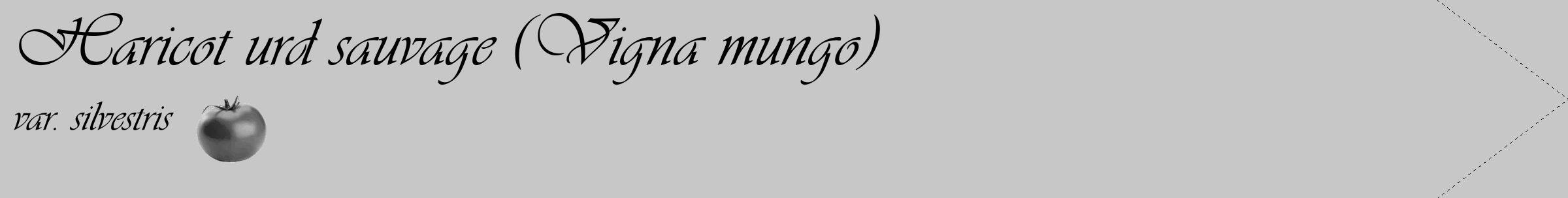 Étiquette de : Vigna mungo var. silvestris - format c - style noire15_simple_simpleviv avec comestibilité simplifiée