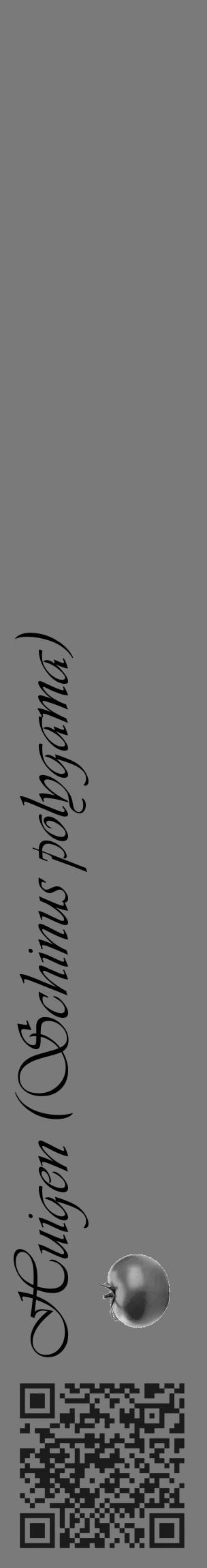 Étiquette de : Schinus polygama - format c - style noire3_basique_basiqueviv avec qrcode et comestibilité simplifiée - position verticale