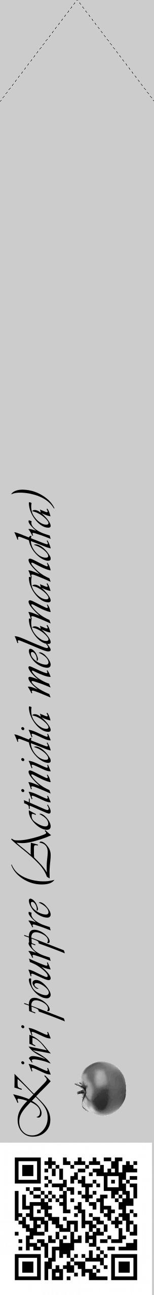 Étiquette de : Actinidia melanandra - format c - style noire0_simple_simpleviv avec qrcode et comestibilité simplifiée - position verticale