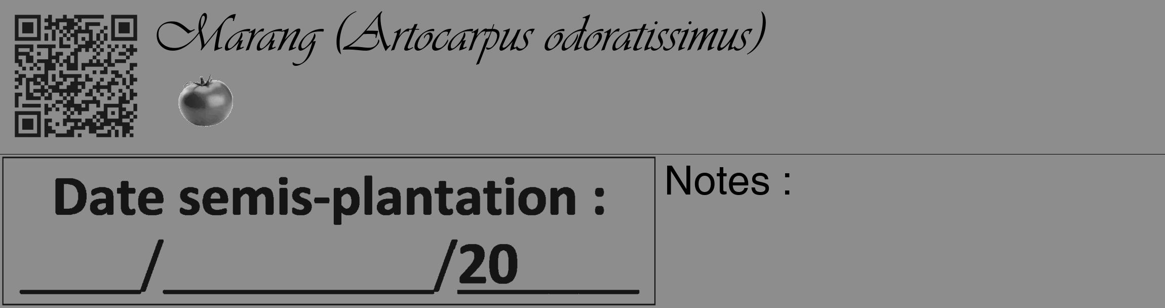 Étiquette de : Artocarpus odoratissimus - format c - style noire2_basique_basiqueviv avec qrcode et comestibilité simplifiée
