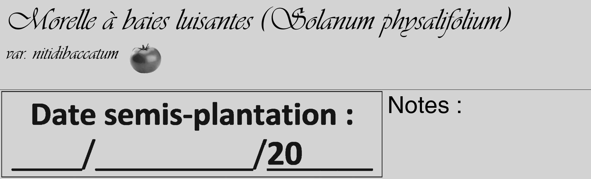 Étiquette de : Solanum physalifolium var. nitidibaccatum - format c - style noire56_basique_basiqueviv avec comestibilité simplifiée