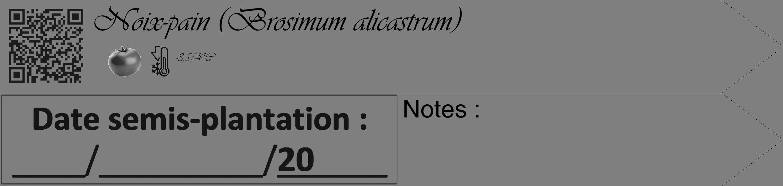 Étiquette de : Brosimum alicastrum - format c - style noire31_simple_simpleviv avec qrcode et comestibilité simplifiée