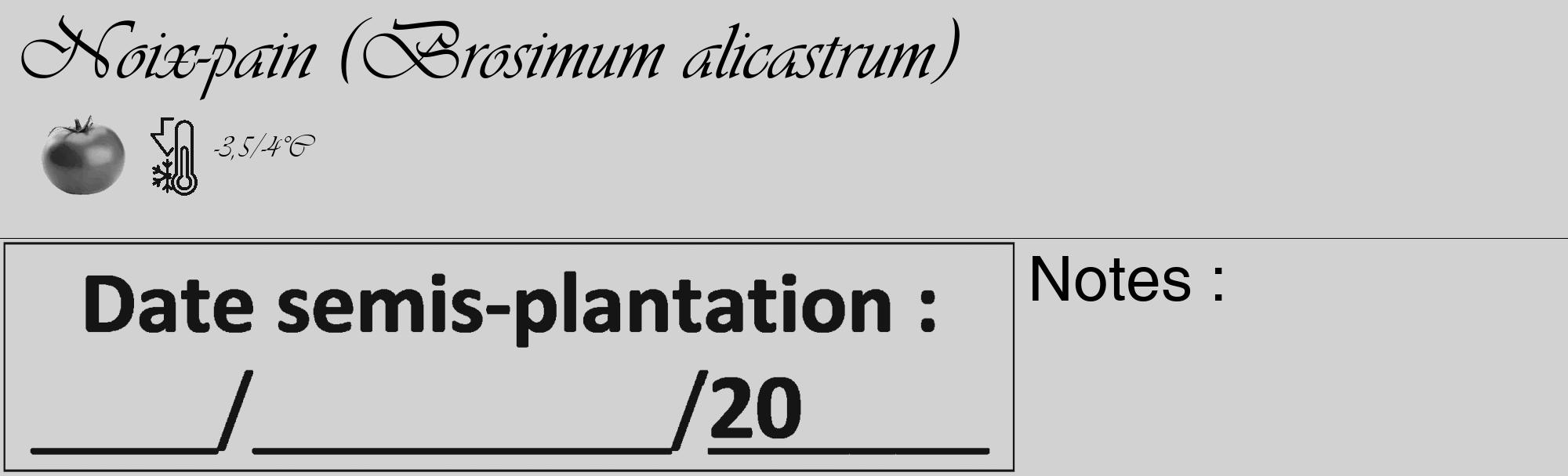 Étiquette de : Brosimum alicastrum - format c - style noire14_basique_basiqueviv avec comestibilité simplifiée