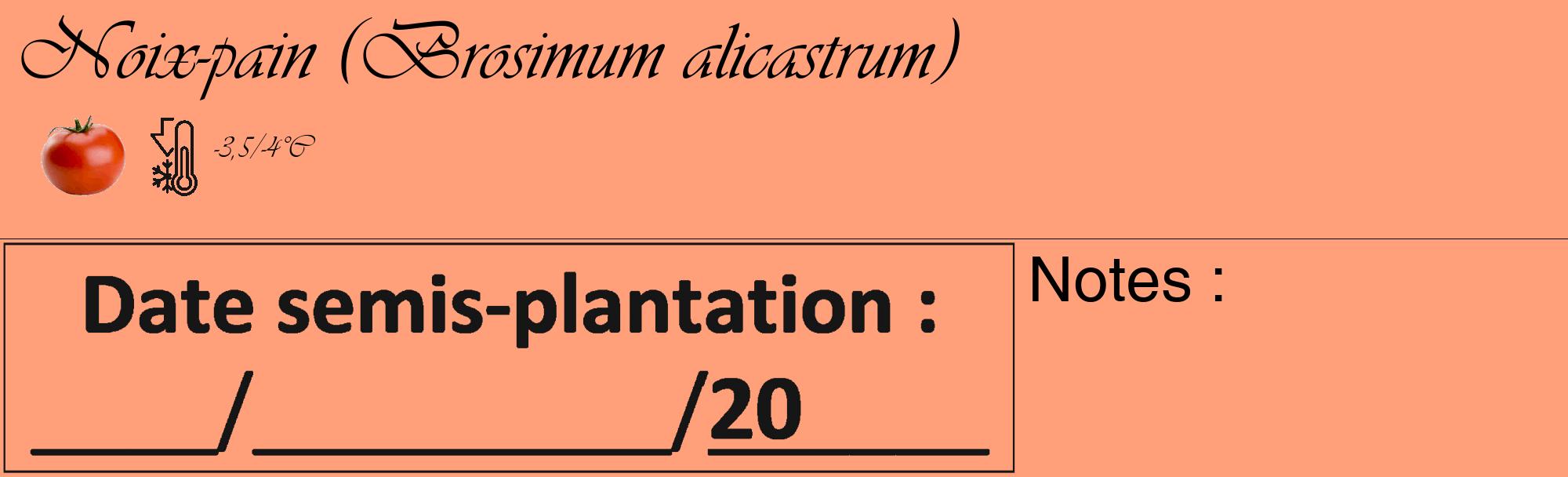 Étiquette de : Brosimum alicastrum - format c - style noire39_basique_basiqueviv avec comestibilité simplifiée