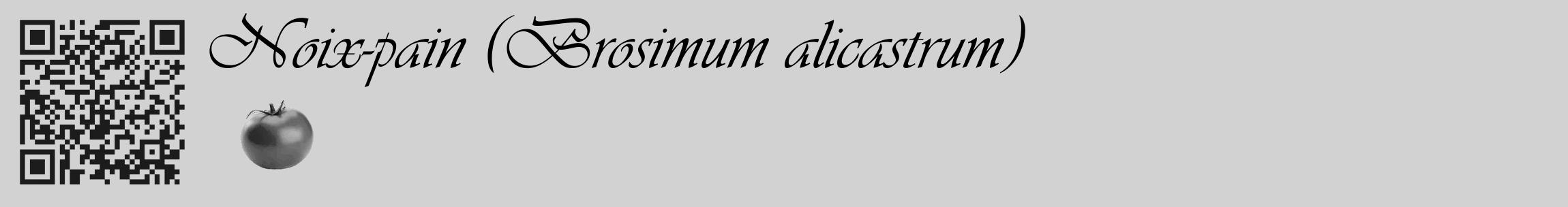 Étiquette de : Brosimum alicastrum - format c - style noire14_basique_basiqueviv avec qrcode et comestibilité simplifiée