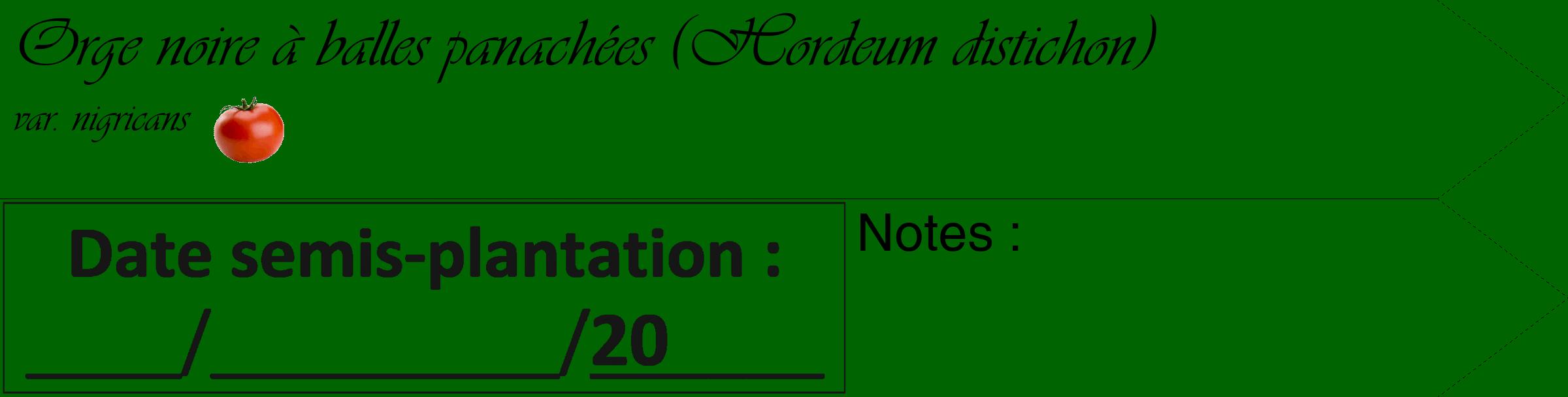 Étiquette de : Hordeum distichon var. nigricans - format c - style noire8_simple_simpleviv avec comestibilité simplifiée