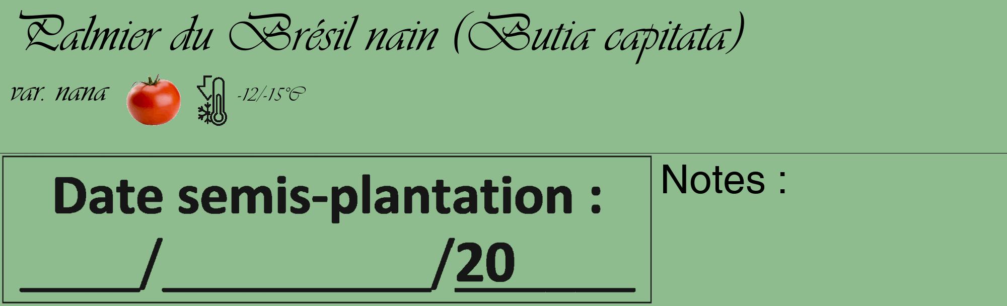 Étiquette de : Butia capitata var. nana - format c - style noire13_basique_basiqueviv avec comestibilité simplifiée