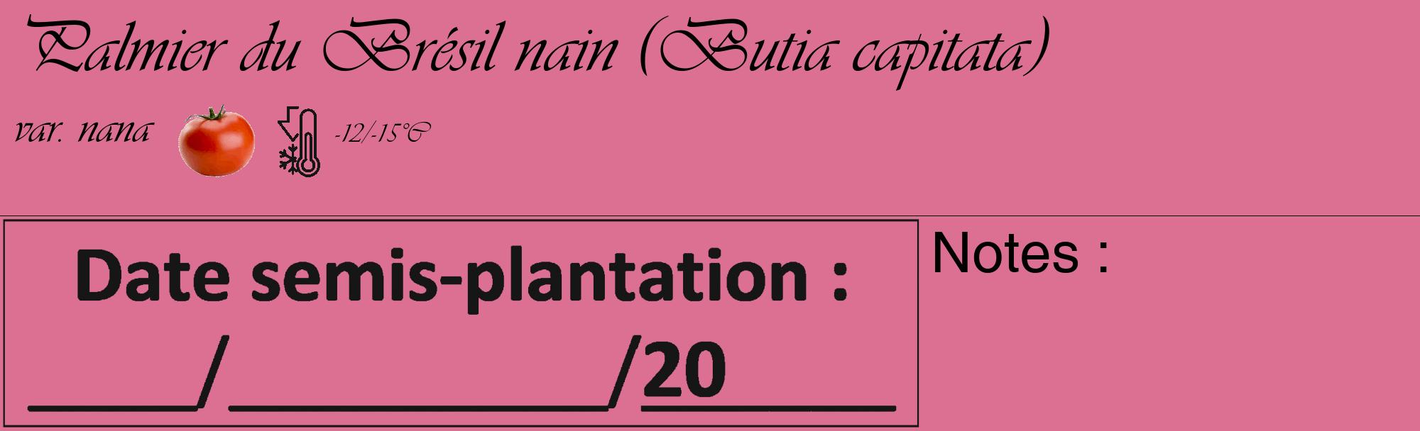 Étiquette de : Butia capitata var. nana - format c - style noire44_basique_basiqueviv avec comestibilité simplifiée