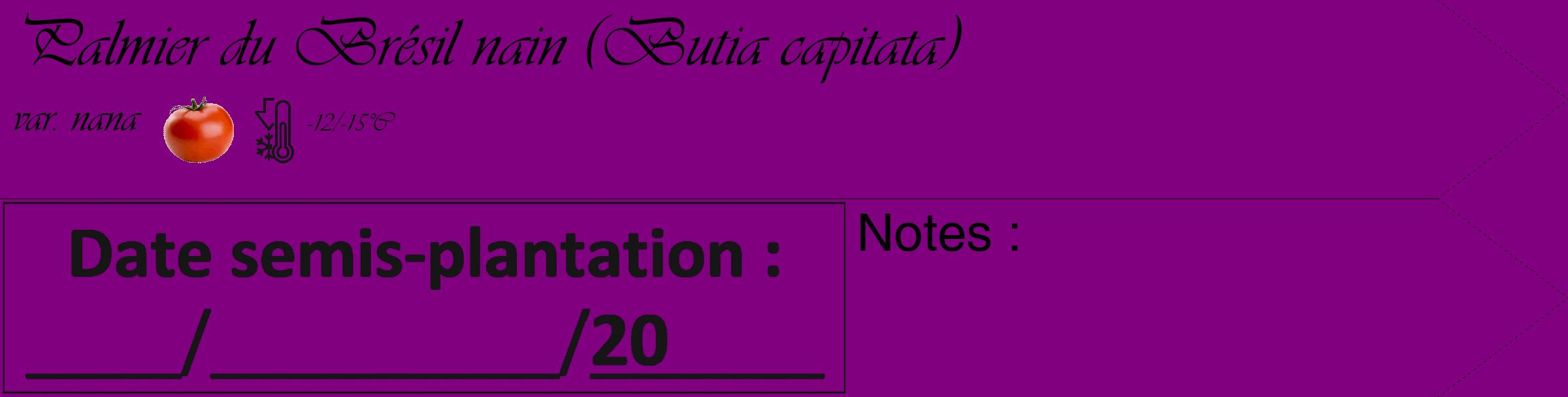 Étiquette de : Butia capitata var. nana - format c - style noire46simple_basique_basiqueviv avec comestibilité simplifiée