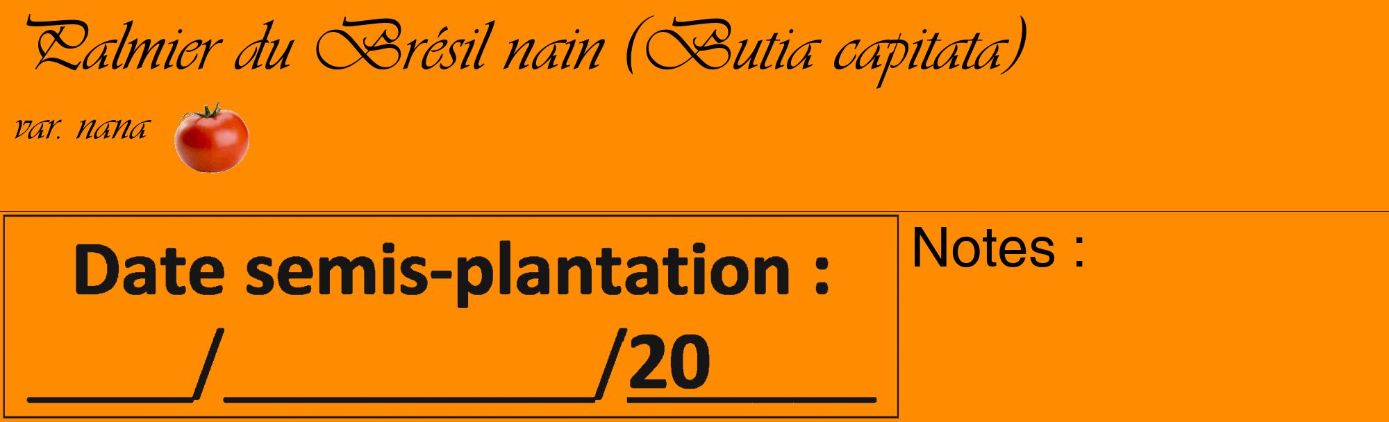 Étiquette de : Butia capitata var. nana - format c - style noire23_basique_basiqueviv avec comestibilité simplifiée