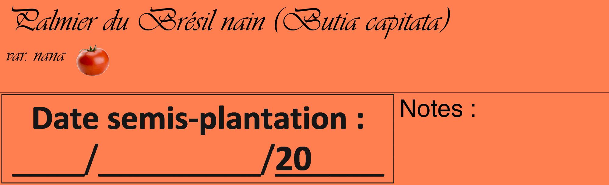 Étiquette de : Butia capitata var. nana - format c - style noire24_basique_basiqueviv avec comestibilité simplifiée