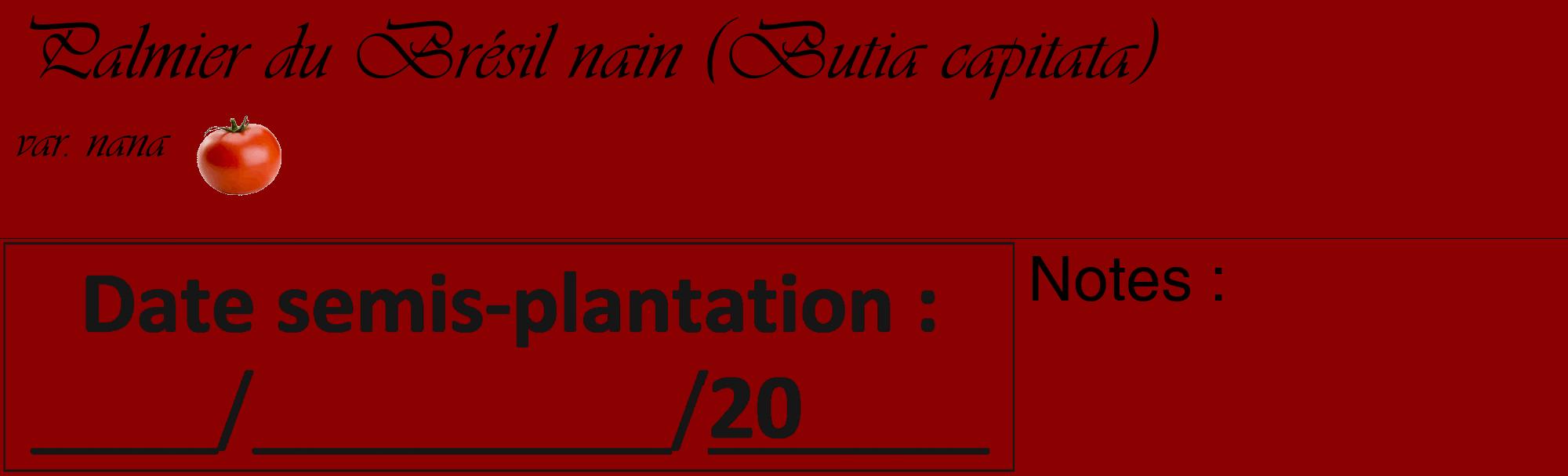 Étiquette de : Butia capitata var. nana - format c - style noire34_basique_basiqueviv avec comestibilité simplifiée