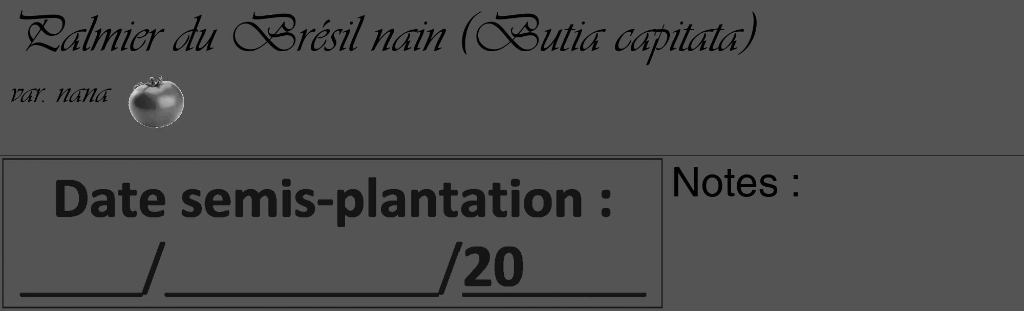Étiquette de : Butia capitata var. nana - format c - style noire36_basique_basiqueviv avec comestibilité simplifiée