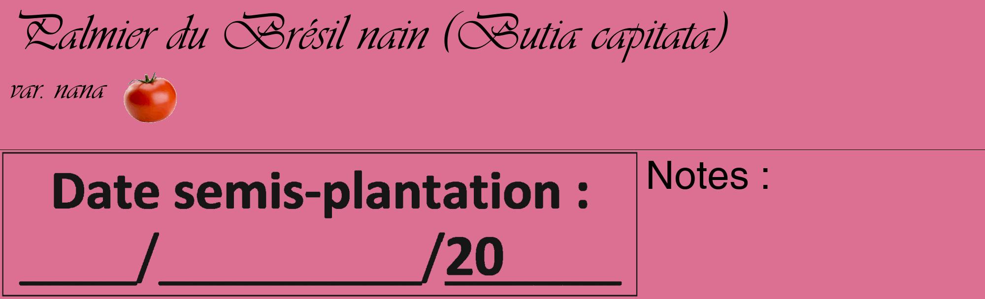 Étiquette de : Butia capitata var. nana - format c - style noire44_basique_basiqueviv avec comestibilité simplifiée