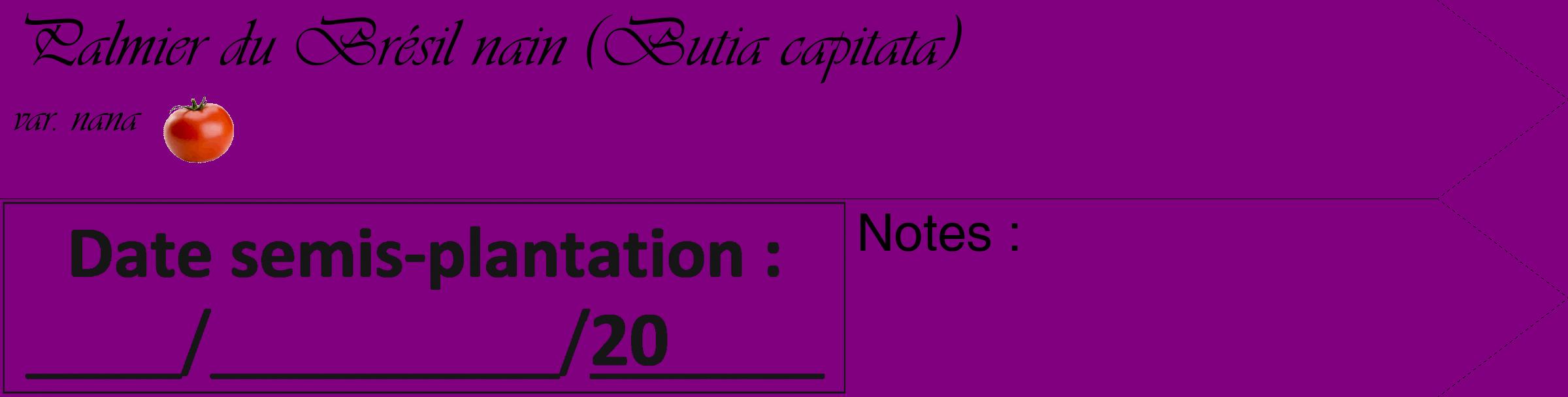 Étiquette de : Butia capitata var. nana - format c - style noire46simple_basique_basiqueviv avec comestibilité simplifiée