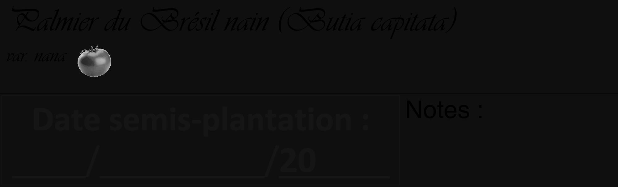 Étiquette de : Butia capitata var. nana - format c - style noire7_basique_basiqueviv avec comestibilité simplifiée