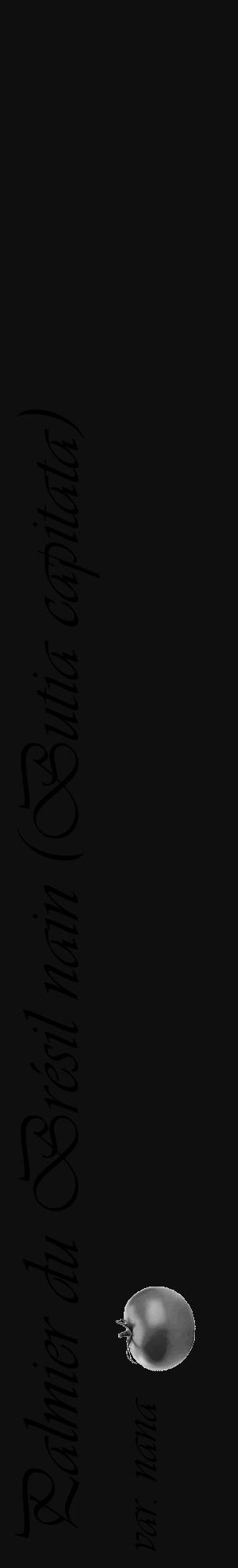 Étiquette de : Butia capitata var. nana - format c - style noire7_basique_basiqueviv avec comestibilité simplifiée - position verticale