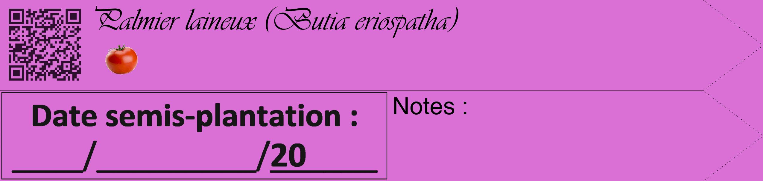 Étiquette de : Butia eriospatha - format c - style noire52_simple_simpleviv avec qrcode et comestibilité simplifiée