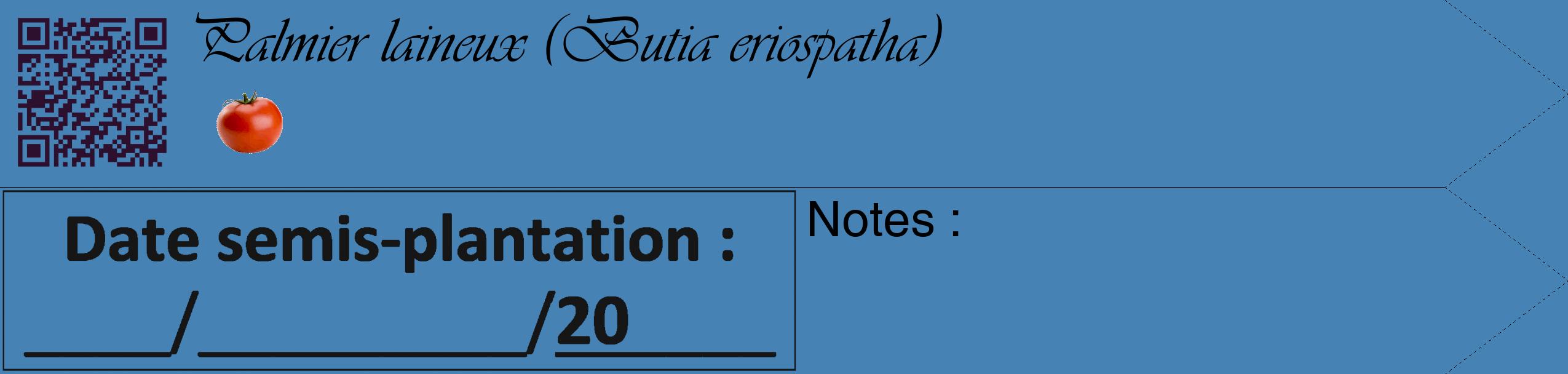 Étiquette de : Butia eriospatha - format c - style noire5_simple_simpleviv avec qrcode et comestibilité simplifiée