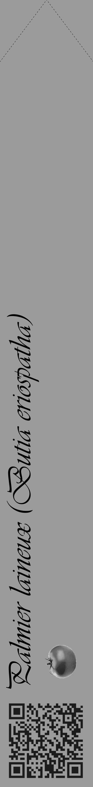 Étiquette de : Butia eriospatha - format c - style noire52_simple_simpleviv avec qrcode et comestibilité simplifiée - position verticale