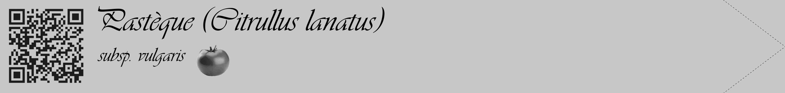 Étiquette de : Citrullus lanatus subsp. vulgaris - format c - style noire15_simple_simpleviv avec qrcode et comestibilité simplifiée