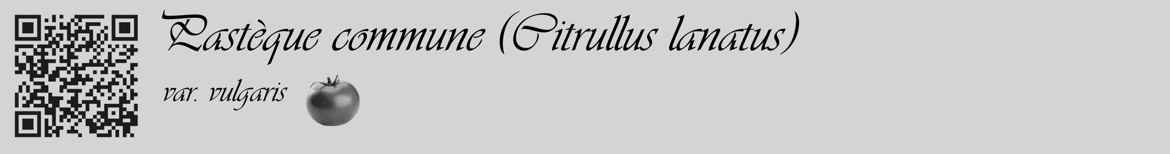 Étiquette de : Citrullus lanatus var. vulgaris - format c - style noire40_basique_basiqueviv avec qrcode et comestibilité simplifiée