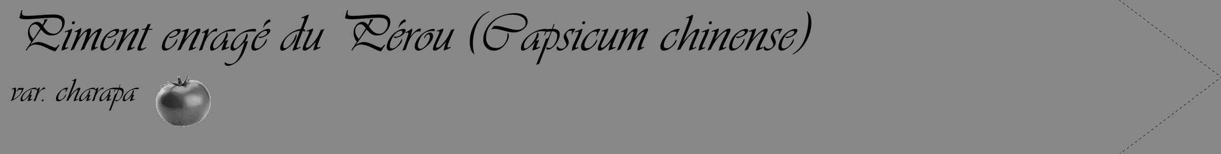 Étiquette de : Capsicum chinense var. charapa - format c - style noire12_simple_simpleviv avec comestibilité simplifiée