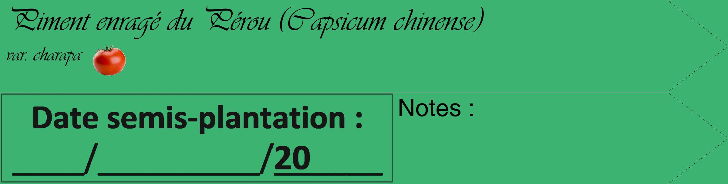 Étiquette de : Capsicum chinense var. charapa - format c - style noire12_simple_simpleviv avec comestibilité simplifiée