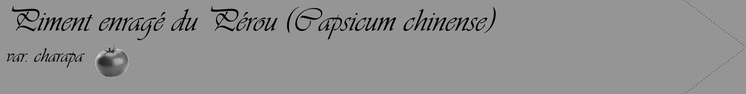 Étiquette de : Capsicum chinense var. charapa - format c - style noire16_simple_simpleviv avec comestibilité simplifiée