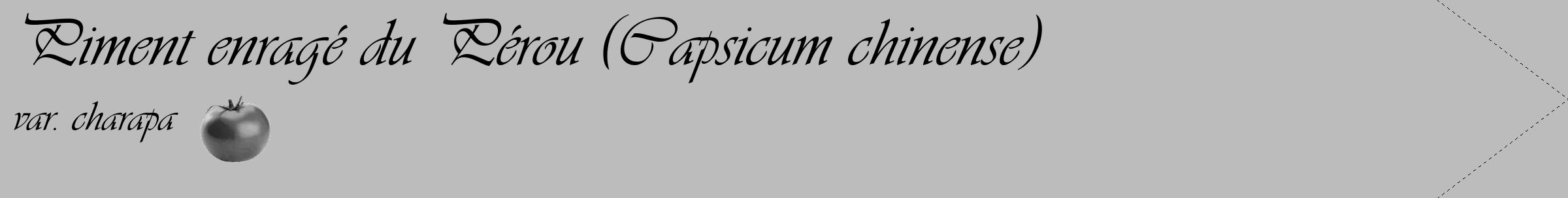 Étiquette de : Capsicum chinense var. charapa - format c - style noire1_simple_simpleviv avec comestibilité simplifiée