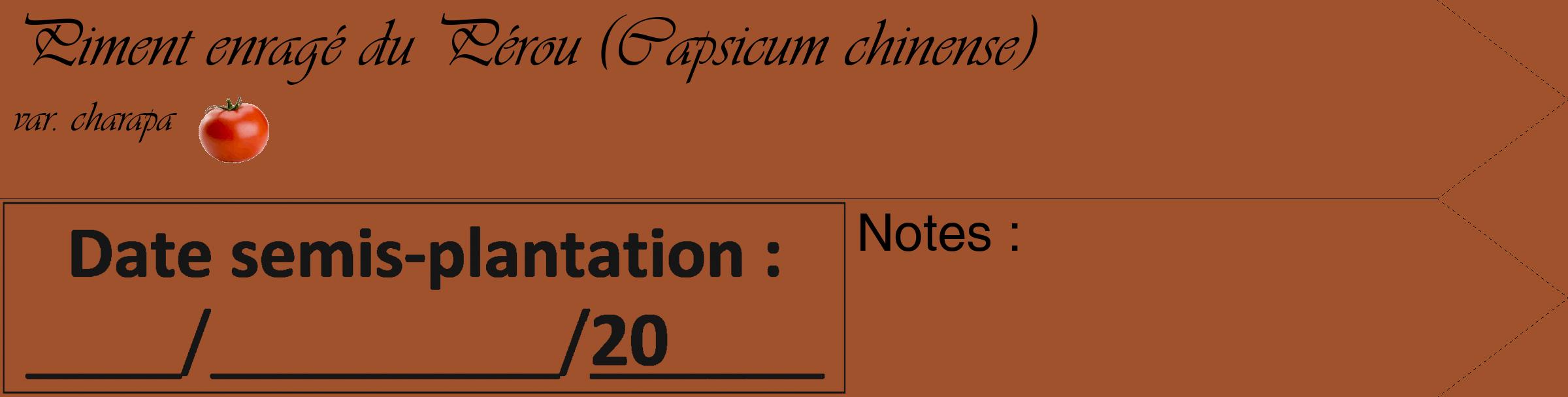 Étiquette de : Capsicum chinense var. charapa - format c - style noire32_simple_simpleviv avec comestibilité simplifiée