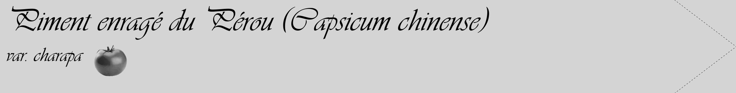Étiquette de : Capsicum chinense var. charapa - format c - style noire40_simple_simpleviv avec comestibilité simplifiée