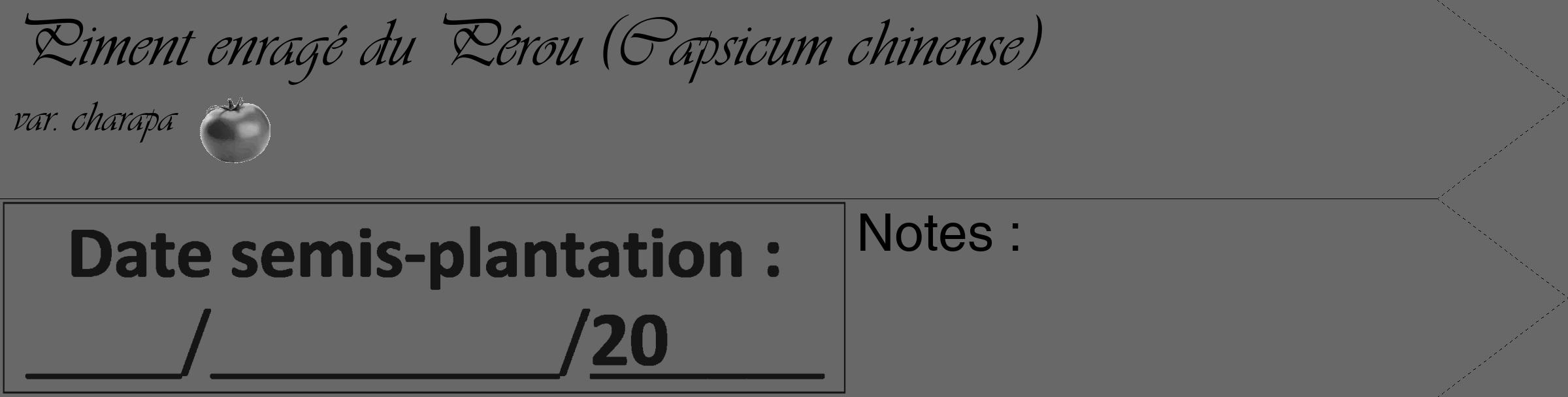 Étiquette de : Capsicum chinense var. charapa - format c - style noire43_simple_simpleviv avec comestibilité simplifiée