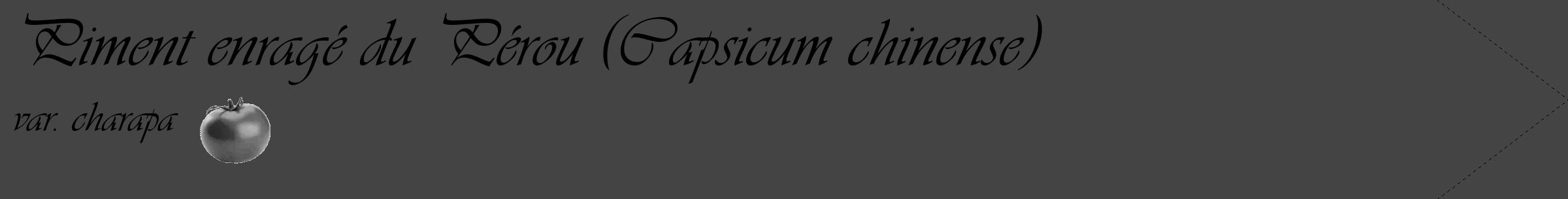 Étiquette de : Capsicum chinense var. charapa - format c - style noire48_simple_simpleviv avec comestibilité simplifiée