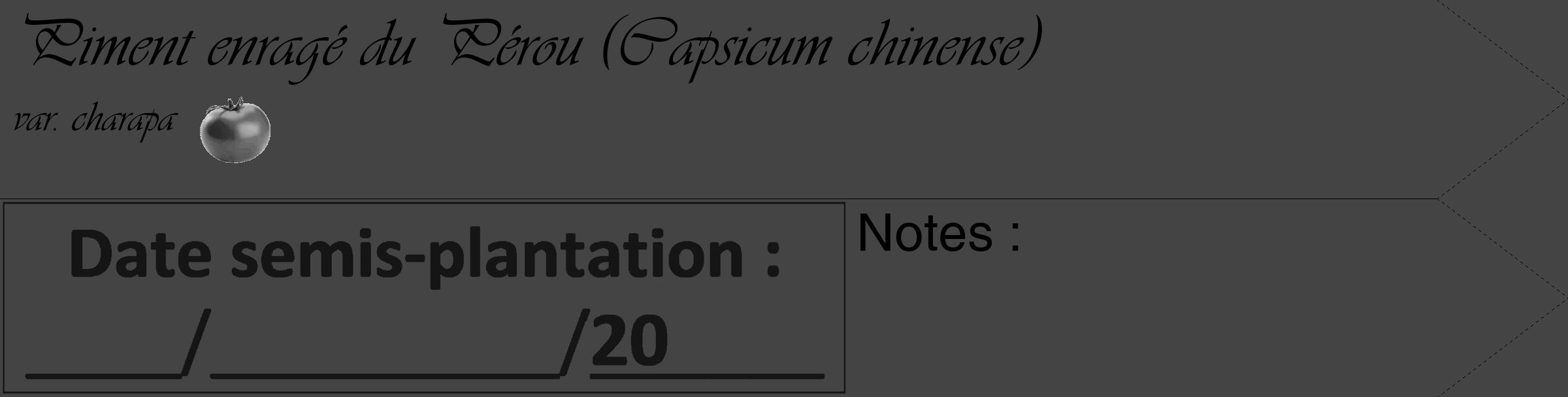 Étiquette de : Capsicum chinense var. charapa - format c - style noire48_simple_simpleviv avec comestibilité simplifiée