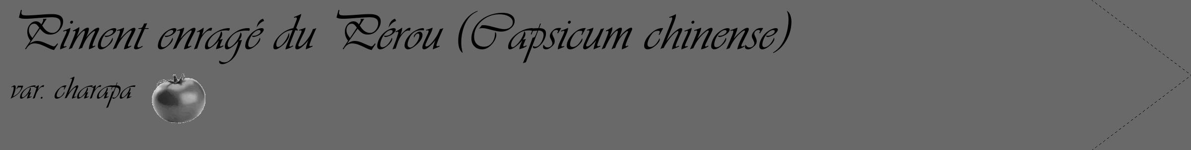Étiquette de : Capsicum chinense var. charapa - format c - style noire51_simple_simpleviv avec comestibilité simplifiée