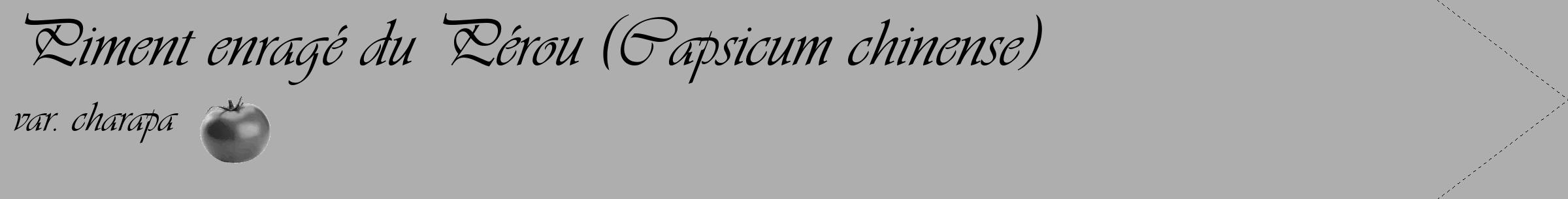 Étiquette de : Capsicum chinense var. charapa - format c - style noire53_simple_simpleviv avec comestibilité simplifiée