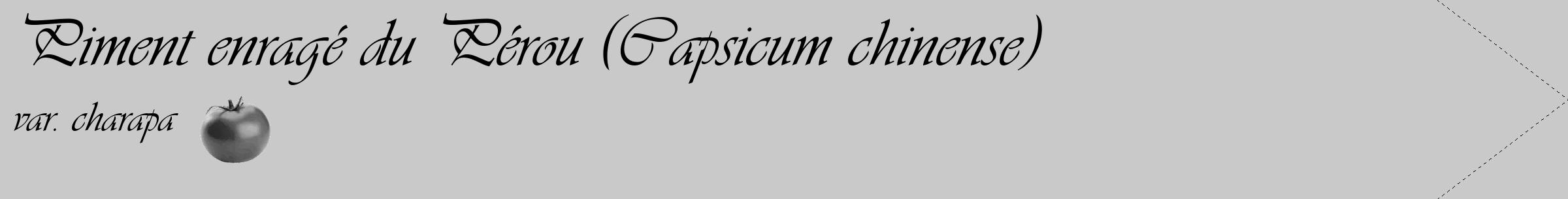 Étiquette de : Capsicum chinense var. charapa - format c - style noire54_simple_simpleviv avec comestibilité simplifiée