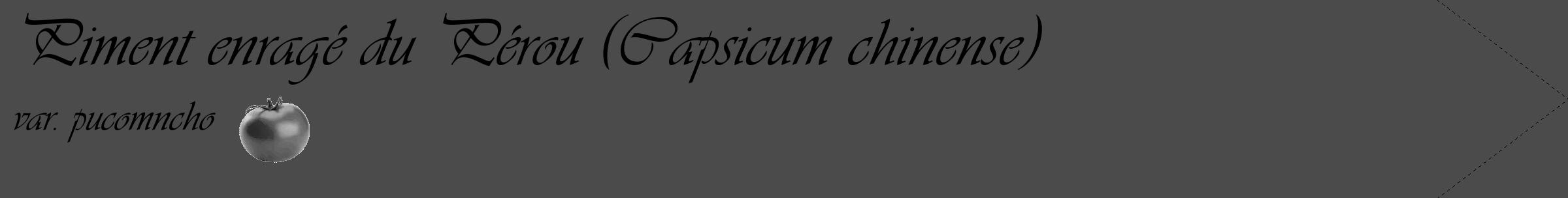 Étiquette de : Capsicum chinense var. pucomncho - format c - style noire9_simple_simpleviv avec comestibilité simplifiée