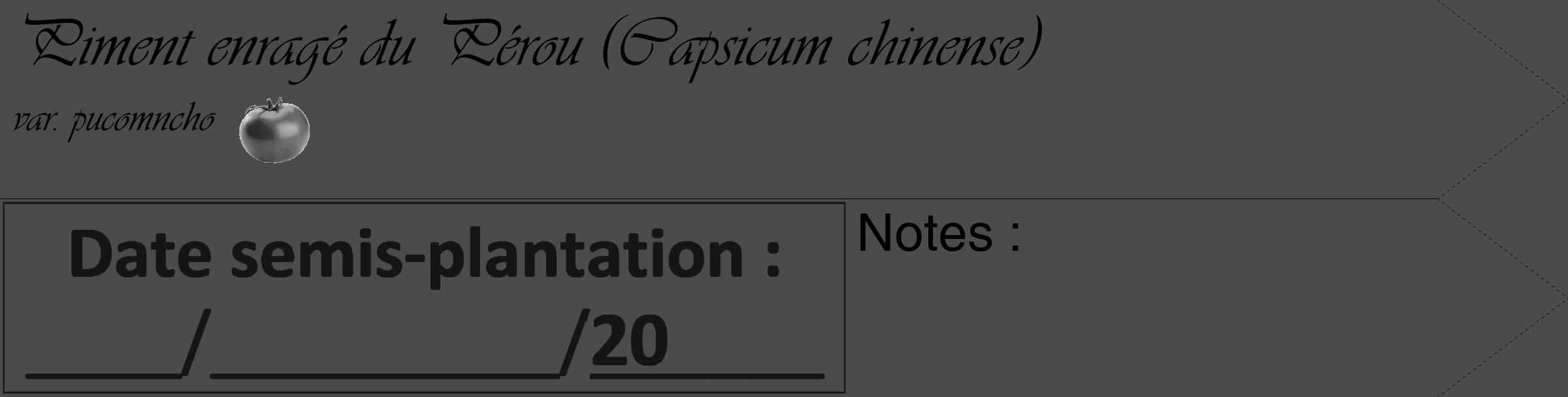 Étiquette de : Capsicum chinense var. pucomncho - format c - style noire9_simple_simpleviv avec comestibilité simplifiée