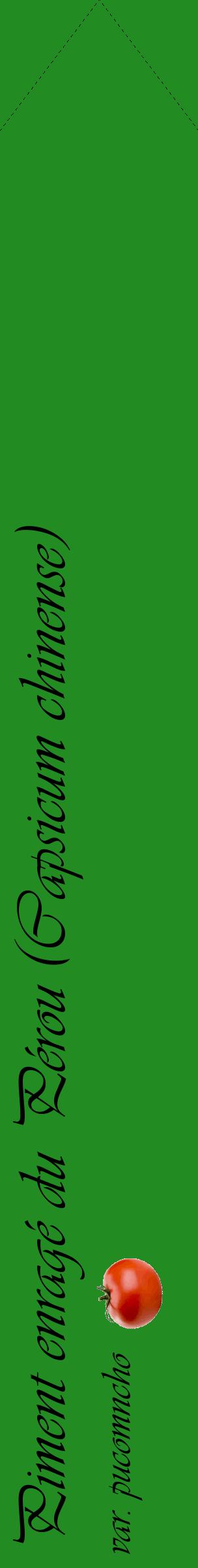 Étiquette de : Capsicum chinense var. pucomncho - format c - style noire10_simpleviv avec comestibilité simplifiée