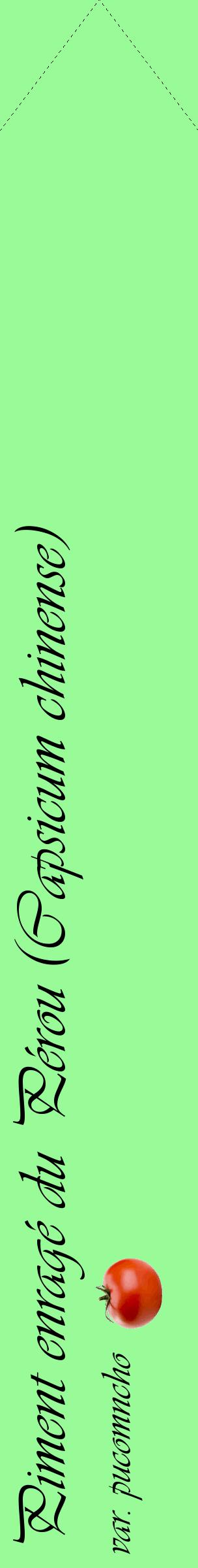 Étiquette de : Capsicum chinense var. pucomncho - format c - style noire14_simpleviv avec comestibilité simplifiée