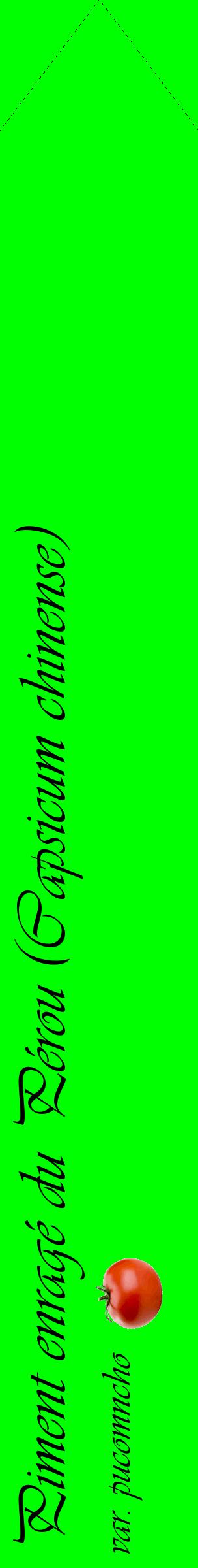 Étiquette de : Capsicum chinense var. pucomncho - format c - style noire16_simpleviv avec comestibilité simplifiée